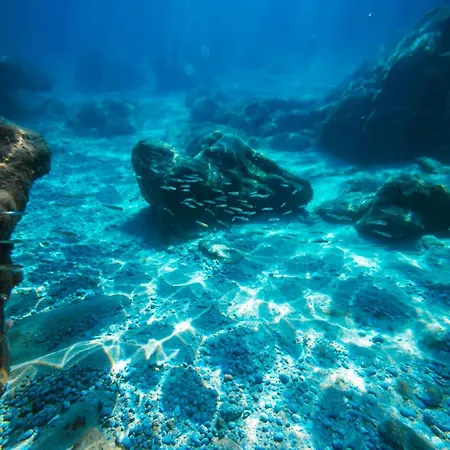 Enticing In With Shared Swimming Pool * Ricadi